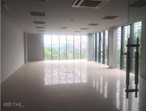 Văn phòng đẹp giá rẻ phố Trường Chinh, view kính 2 mặt thoáng 120m2