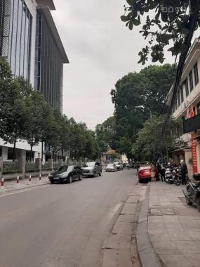 Nhà phố Ông Ích Khiêm, Ba Đình. DT 50m2, 4 tầng, an ninh cao cấp, giá 7,9 tỷ