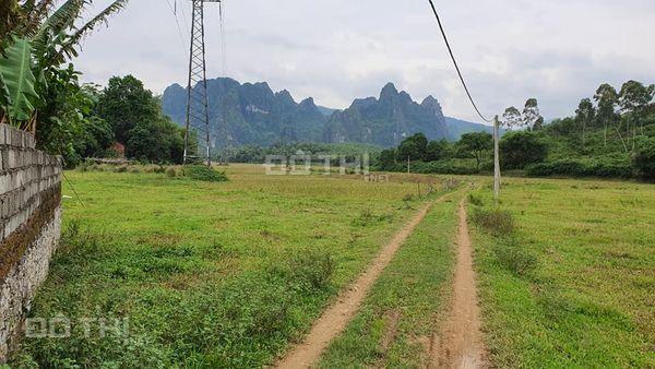 Chính chủ bán đất trang trại gia súc, gia cầm rộng 1.5ha Liên Sơn, Lương Sơn, Hòa Bình