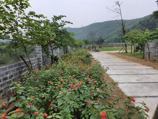 Chính chủ cần bán gấp 4000m2 khuôn viên hoàn thiện tuyệt đẹp tại Lương Sơn, Hòa Bình