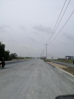 Bán đất nền dự án tại Đường Đoàn Nguyễn Tuấn, xã Hưng Long, Bình Chánh, Hồ Chí Minh diện tích 100m2