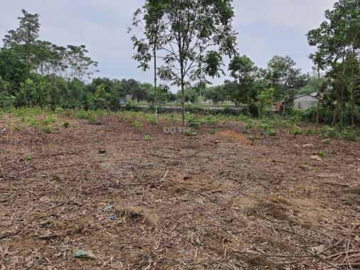 Chính chủ cần bán 1500m2 đất thổ cư siêu đẹp tại Lương Sơn, Hòa Bình