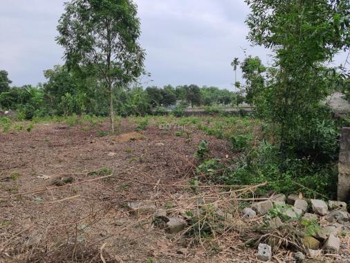 Chính chủ cần bán 1500m2 đất thổ cư siêu đẹp tại Lương Sơn, Hòa Bình