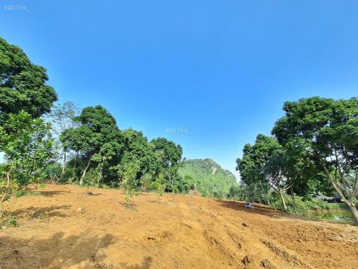 Bán gấp 4.784m2 đất thổ cư view tuyệt đỉnh tại Lương Sơn, Hòa Bình