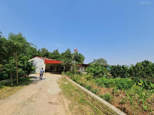 Chỉ 2.8 tỷ sở hữu ngay 1.4ha đất làm trang trại nghỉ dưỡng tuyệt đẹp tại Lạc Thủy, Hòa Bình