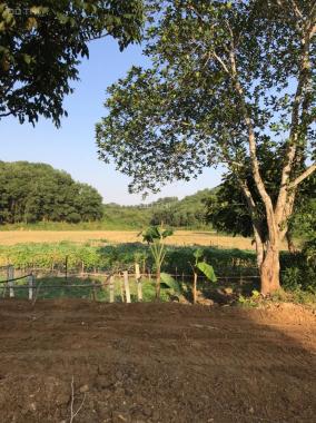 Cần bán 4000m2 thổ cư view cánh đồng tuyệt đẹp tại Lương Sơn, Hòa Bình