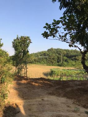 Cần bán 4000m2 thổ cư view cánh đồng tuyệt đẹp tại Lương Sơn, Hòa Bình