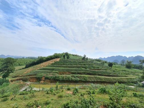 Cơ hội sở hữu ngay 17226m2 có cả đất rừng và đất thổ cư tại Lương Sơn, Hòa Bình
