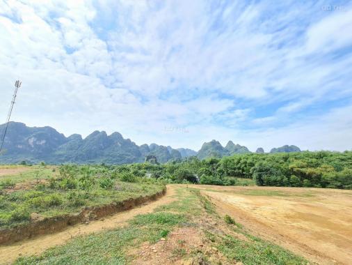 Cơ hội sở hữu ngay 17226m2 có cả đất rừng và đất thổ cư tại Lương Sơn, Hòa Bình