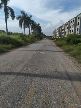 Cho thuê kho xưởng từ 500 - 2000m2 tại Nam An Khánh - Thiên đường Bảo Sơn - Hà Nội