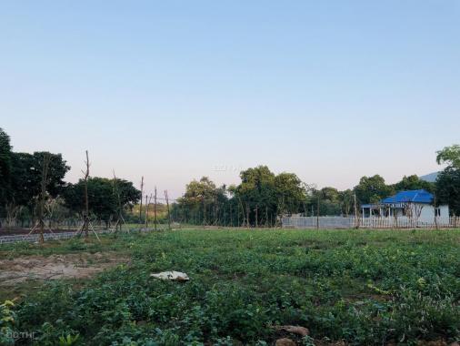 Nhượng gấp 2100m2 đất nghỉ dưỡng đẹp huyện Lương Sơn