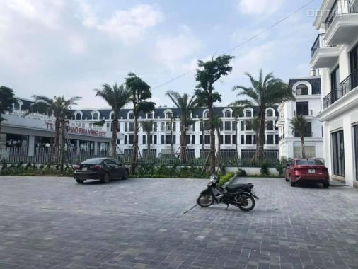 Mở bán giai đoạn 2 dự án Rùa Vàng City, TT Vôi, Lạng Giang, Bắc Giang 75m2, giá đầu tư