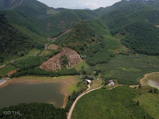 Chuyển nhượng 16000m2 đất rừng sản xuất bám hồ tại Lương Sơn