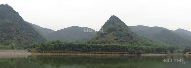 Chuyển nhượng 16000m2 đất rừng sản xuất bám hồ tại Lương Sơn