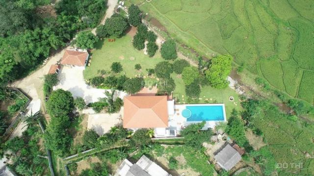 Cơ hội sở hữu ngay khuôn viên biệt thự nhà vườn siêu đẹp tại Lương Sơn, Hòa Bình diện tích 2184m2