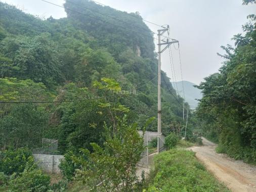 Chuyển nhượng 1400m2 đất nghỉ dưỡng, nhà vườn tại Lương Sơn