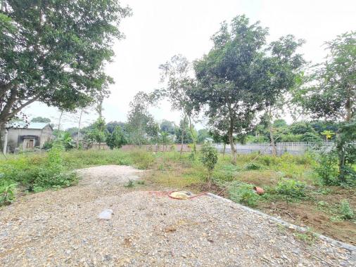 Bán nhanh 1.341m2 đất thổ cư giá rẻ nhất khu vực tại Lương Sơn, Hòa Bình