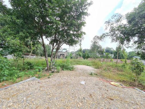 Bán gấp 1.341m2 đất thổ cư giá rẻ nhất khu vực tạI Lương Sơn, Hòa Bình
