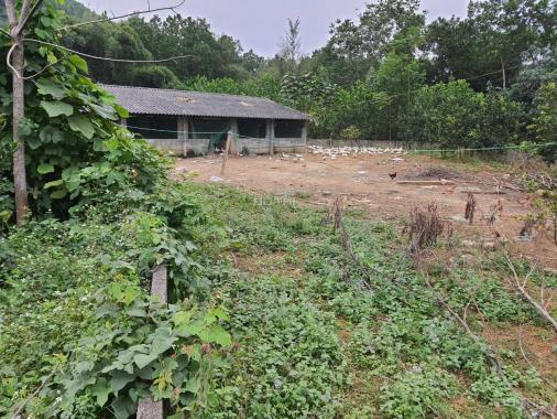 Cần bán gấp 2.552m2 đất thổ cư giá chỉ 800 triệu tại Lương Sơn, Hòa Bình