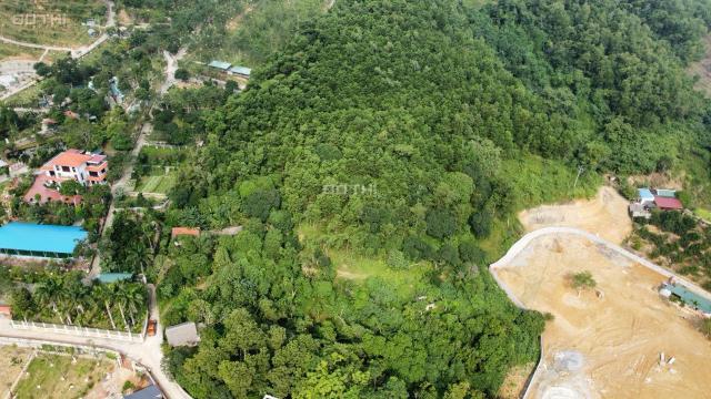 Cần bán 1,2 ha Lâm Sơn Lương Sơn, 800m2 TC thế đất thoải, view thoáng ô tô vào tận đất, 800k/m2
