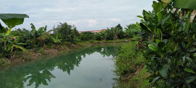 Chính chủ cần bán hơn 5000m2 đất vườn ở xã Hòa Bắc, Huyện Di Linh, Lâm Đồng