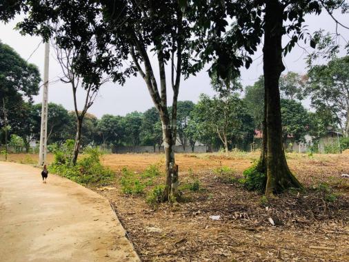 Chính chủ cần bán 5.488m2 đất thổ cư rẻ đẹp tại Lương Sơn, Hòa Bình