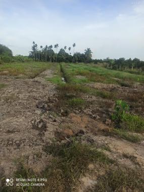 Bán đất mặt tiền rạch xã Phú An, thị xã Bến Cát, Bình Dương diện tích 1700m2