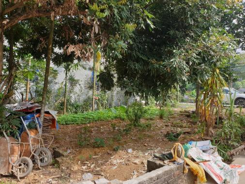 Bán đất tại xã Phú Mãn, Quốc Oai, Hà Nội diện tích 125m2, full thổ cư, giá đầu tư