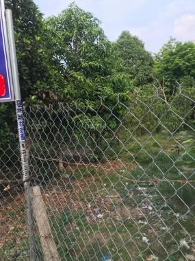 Bán đất tại đường DX 035, Phường Phú An, Bến Cát, Bình Dương giá 1.75 tỷ