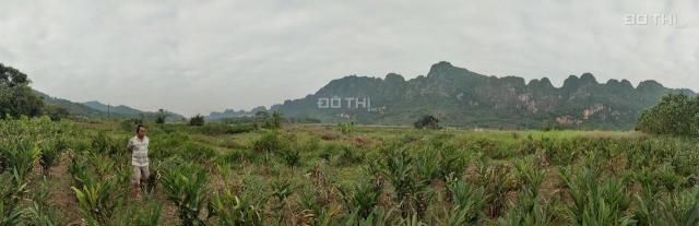 Cần sang nhượng 3.566m2 đất thổ cư view tuyệt đẹp tại Lương Sơn, Hòa Bình