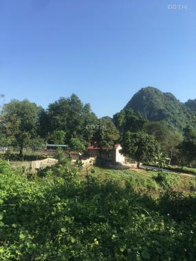 Bán gấp khuôn viên 1.5ha ở Lương Sơn, Hòa Bình giá chỉ 4.5 tỷ. LH 0917.366.060/0948.035.862
