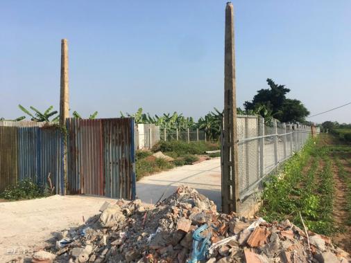 Bán gấp 2300m2 đất container vào ở Thanh Trì giá rẻ. LH 0917.366.060/0948.035.862