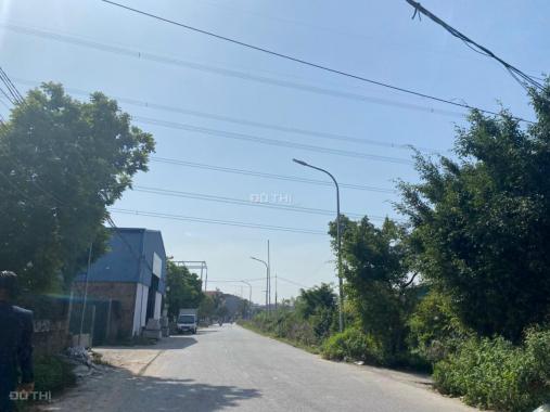 Chủ nhà cần tiền bán gấp 700m2 đất mặt đường nhựa ở Ninh Sở, Thường Tín giá đầu tư. LH 0917.366.060