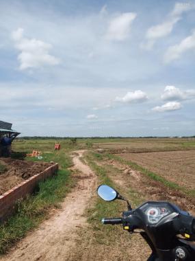 Đất lập vườn 5 công 2 ở huyện Gò Dầu Tây Ninh giá chỉ 750 triệu