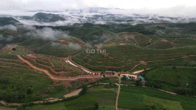 Trang trại sầu riêng 4000 m2 giá 690tr tại Đam Rông, Lâm Đồng. LH 0906947978