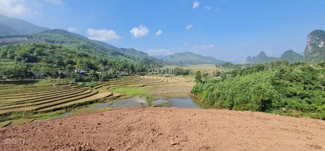 Chính chủ cần bán 21.700m2 có 1000m2 đất thổ cư tại Kim Bôi, Hòa Bình