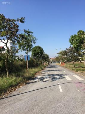 Bán đất tại đường 131, Xã Quang Tiến, Sóc Sơn, Hà Nội diện tích 100m2