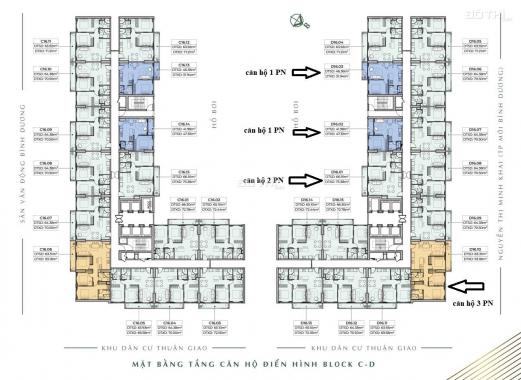 Anderson Park - Pháp lý vững vàng 100% - Vị trí vàng Thuận An, tỷ suất cho thuê 12%/năm