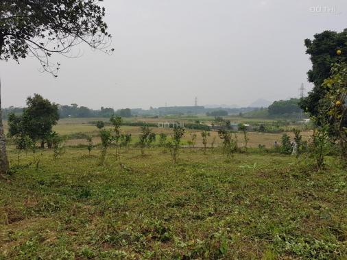 Bán siêu phẩm đất nghỉ dưỡng tuyệt đẹp tại Lương Sơn, Hòa Bình diện tích 3.104m2