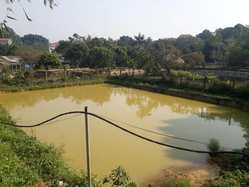Bán đất làm trang trại kết hợp nghỉ dưỡng tại Lương Sơn, Hòa Bình diện tích 4.408m2