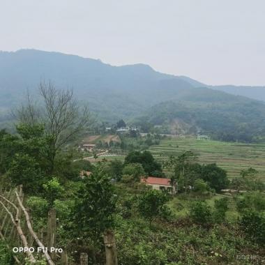 Bán 6000m2 đất tại Phú Mãn, view cao thoáng bát ngát cánh đồng và núi LH 0978659546