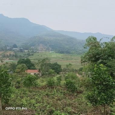 Bán 6000m2 đất tại Phú Mãn, view cao thoáng bát ngát cánh đồng và núi LH 0978659546