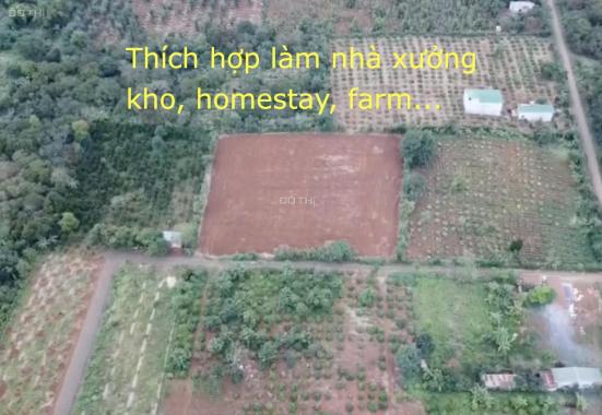 Chính chủ bán lô đất lớn tại TP. Buôn Ma Thuột - thích hợp làm farm, kho, xưởng, homestay