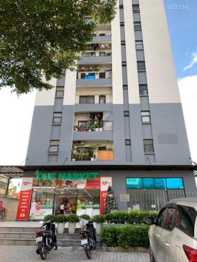 Cho thuê căn hộ 2 phòng ngủ tại chung cư Hoàng Quốc Việt, Quận 7 - full nội thất