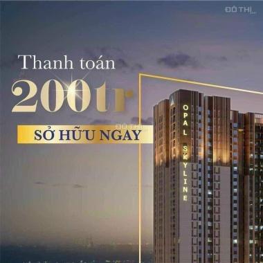 Sức Hút Không Thể Chối Từ 