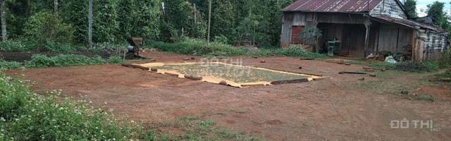 Cần tiền bán 2 mảnh đất rẫy ngay khu dự án Nhân Cơ 2, huyện Đắk R'Lấp, Đắk Nông
