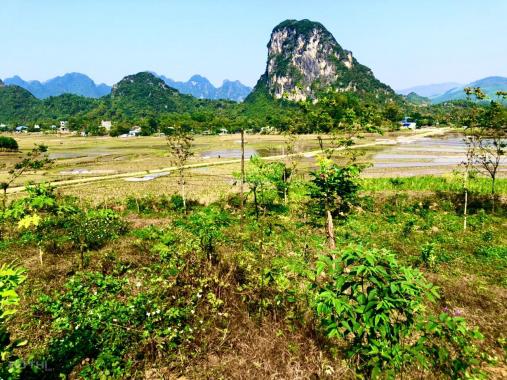 Bán 8000m2 đất Kim Bôi, Hoà Bình có 980m2 đất thổ cư đẹp view núi - chính chủ giá 1,1 tỷ