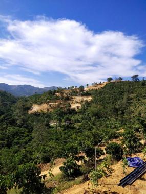 Siêu phẩm 2,5 hecta đất view đồi săn mây nghỉ dưỡng cực đỉnh chỉ có tại Lộc Thành