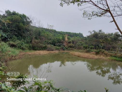 Bán đất Lương Sơn 4300m view thoáng, sẵn ao to, gần sân golf Skylake giá chưa đến triệu/m2