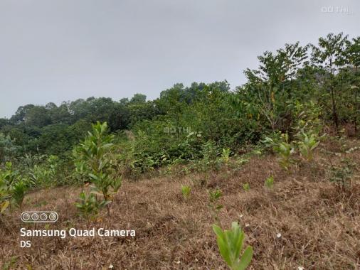 Bán đất Lương Sơn gần 2800m2 view cánh đồng, gần sân golf giao thông thuận tiện, giá 1 triệu/m2